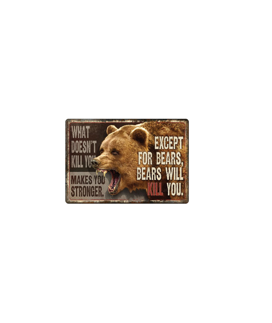 bears bears